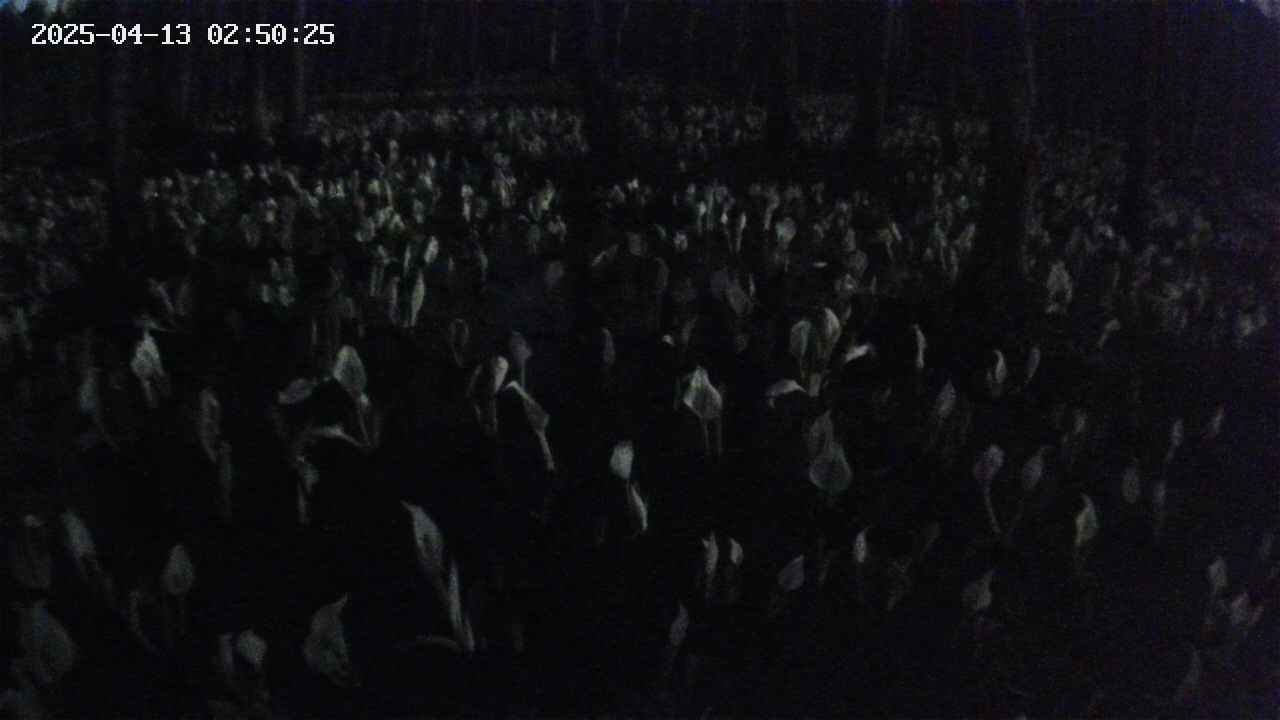 mizubasho2-20250413025027.jpg