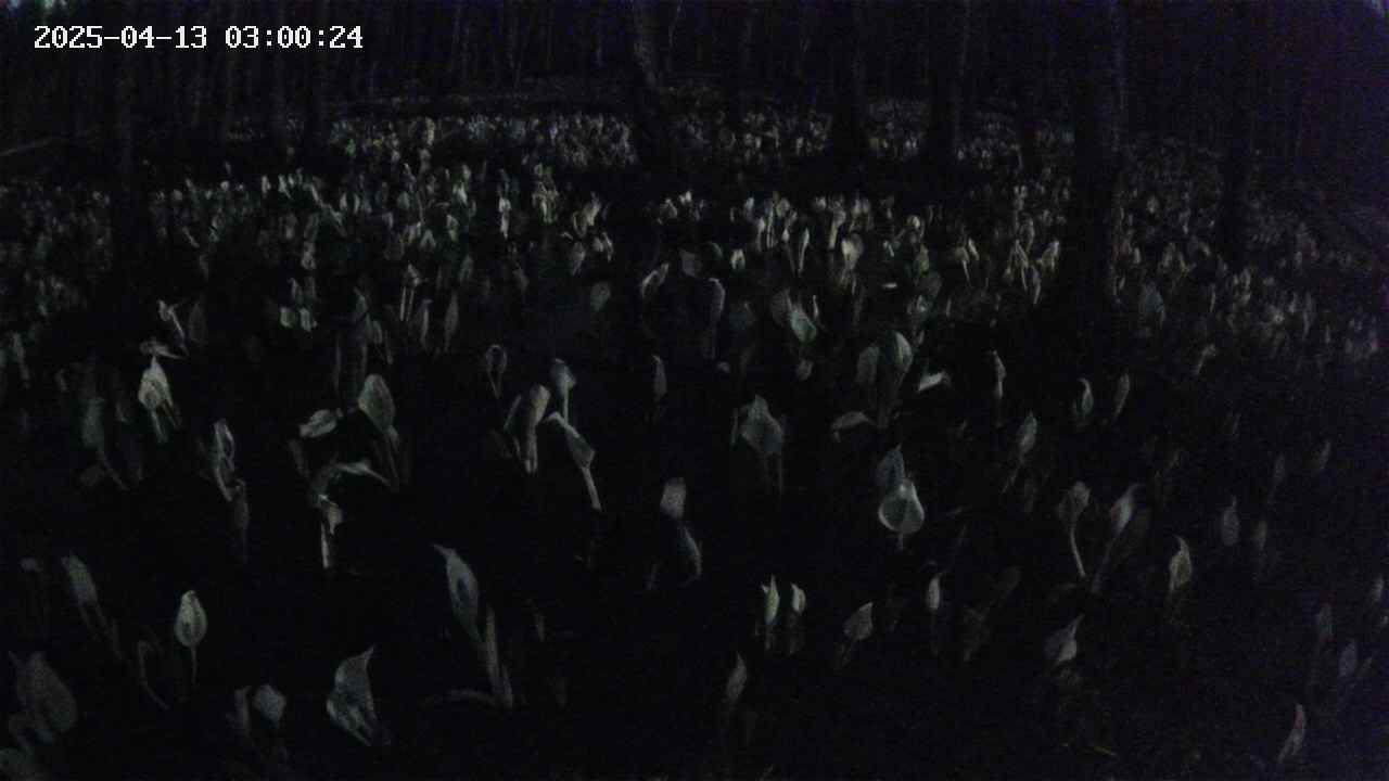 mizubasho2-20250413030025.jpg