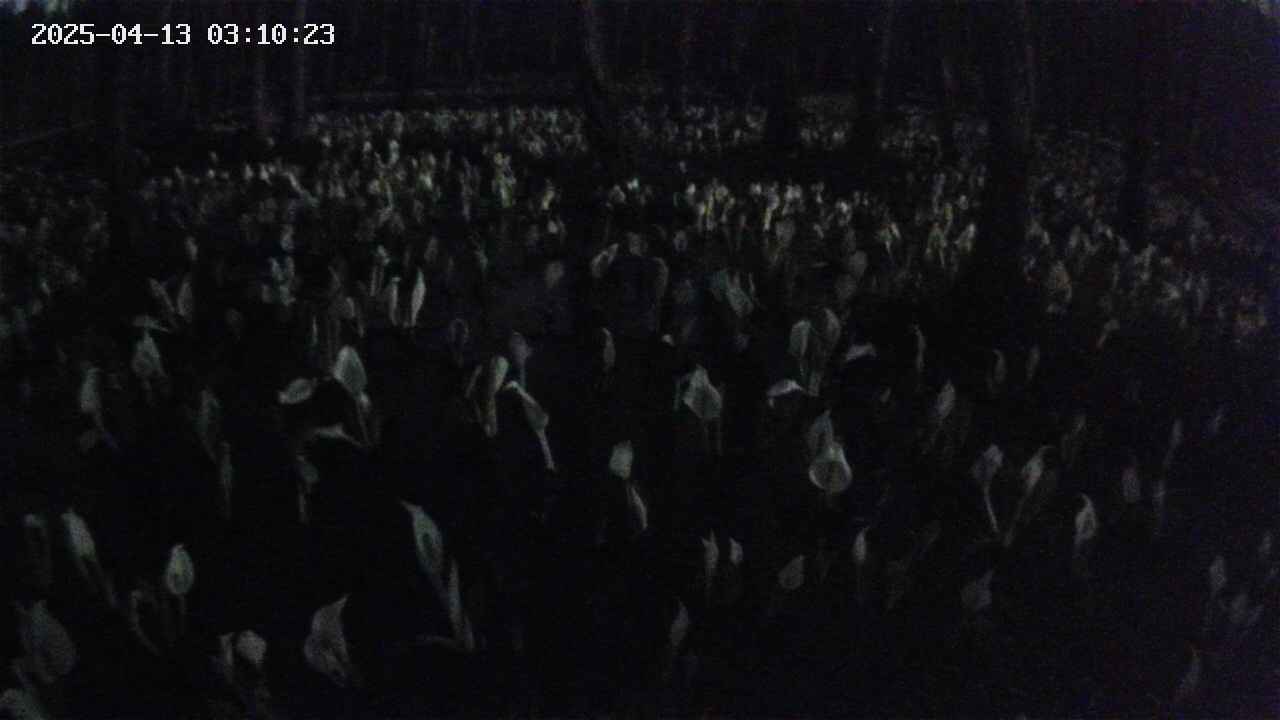 mizubasho2-20250413031024.jpg