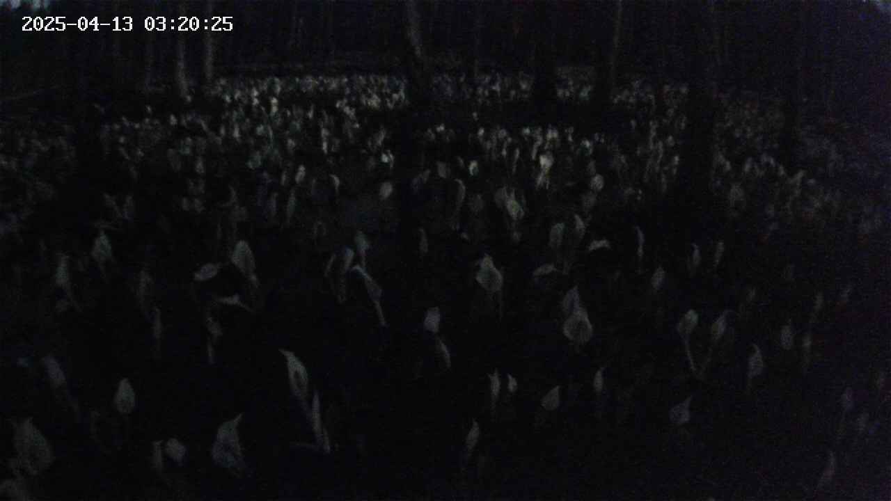 mizubasho2-20250413032026.jpg