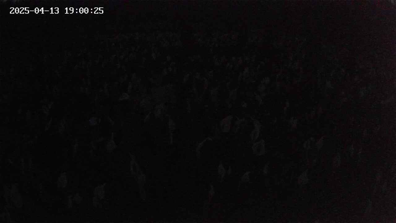 mizubasho2-20250413190026.jpg