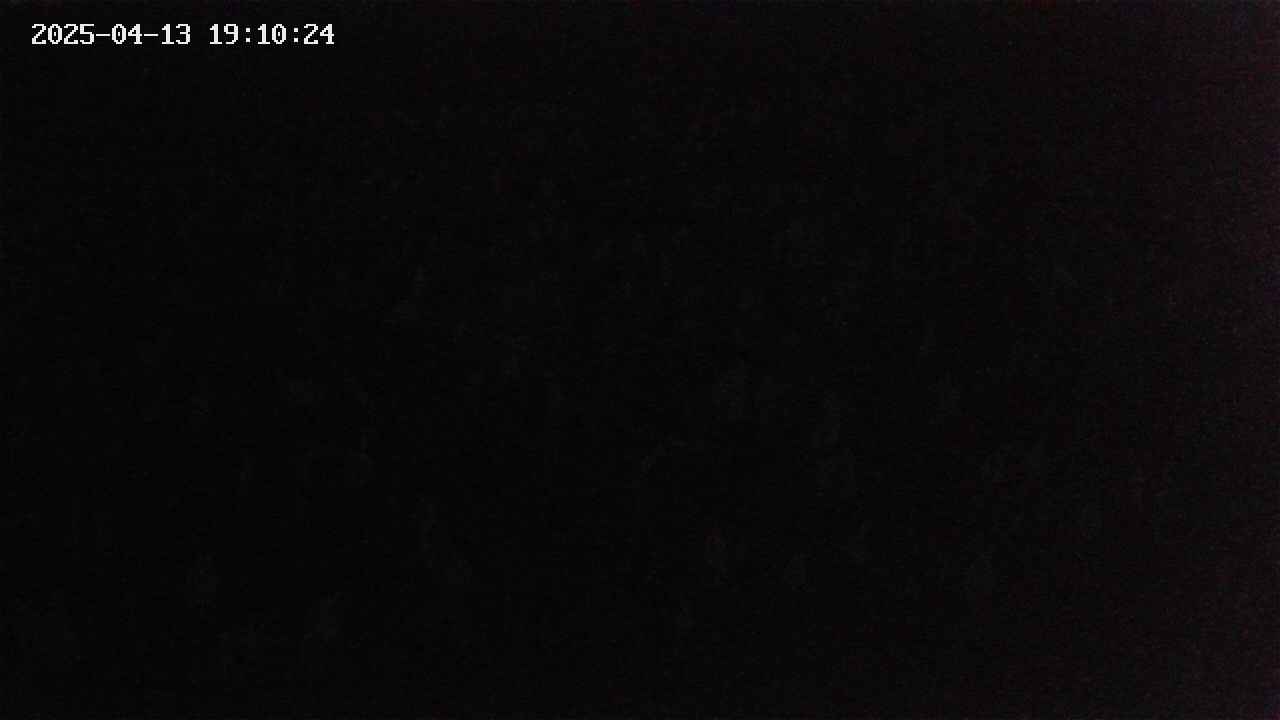 mizubasho2-20250413191025.jpg