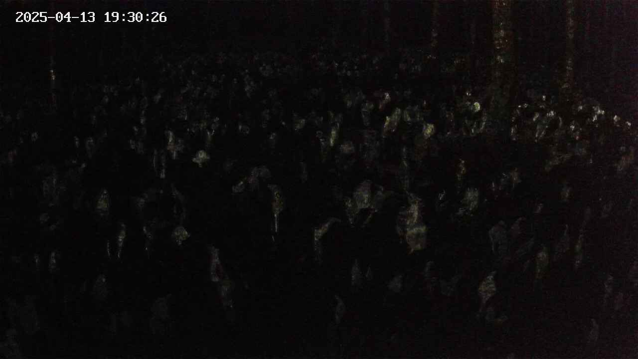 mizubasho2-20250413193027.jpg