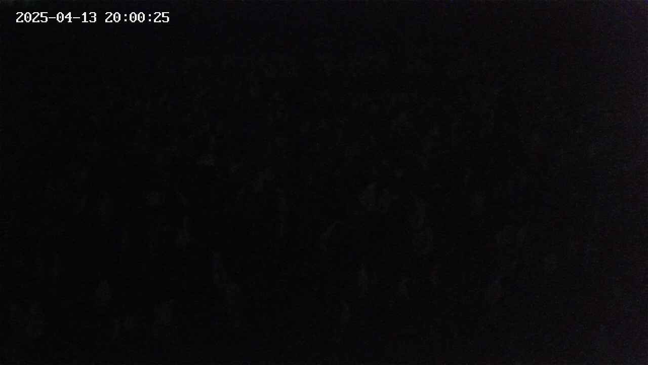 mizubasho2-20250413200027.jpg