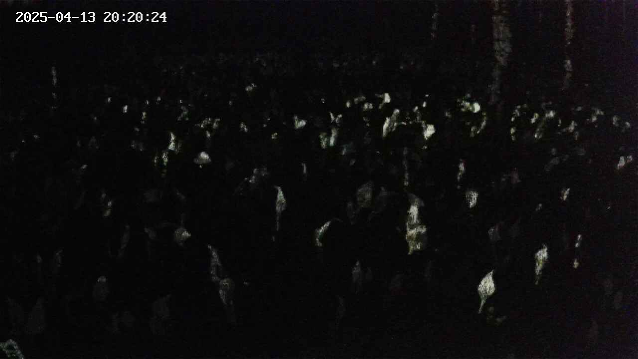 mizubasho2-20250413202026.jpg