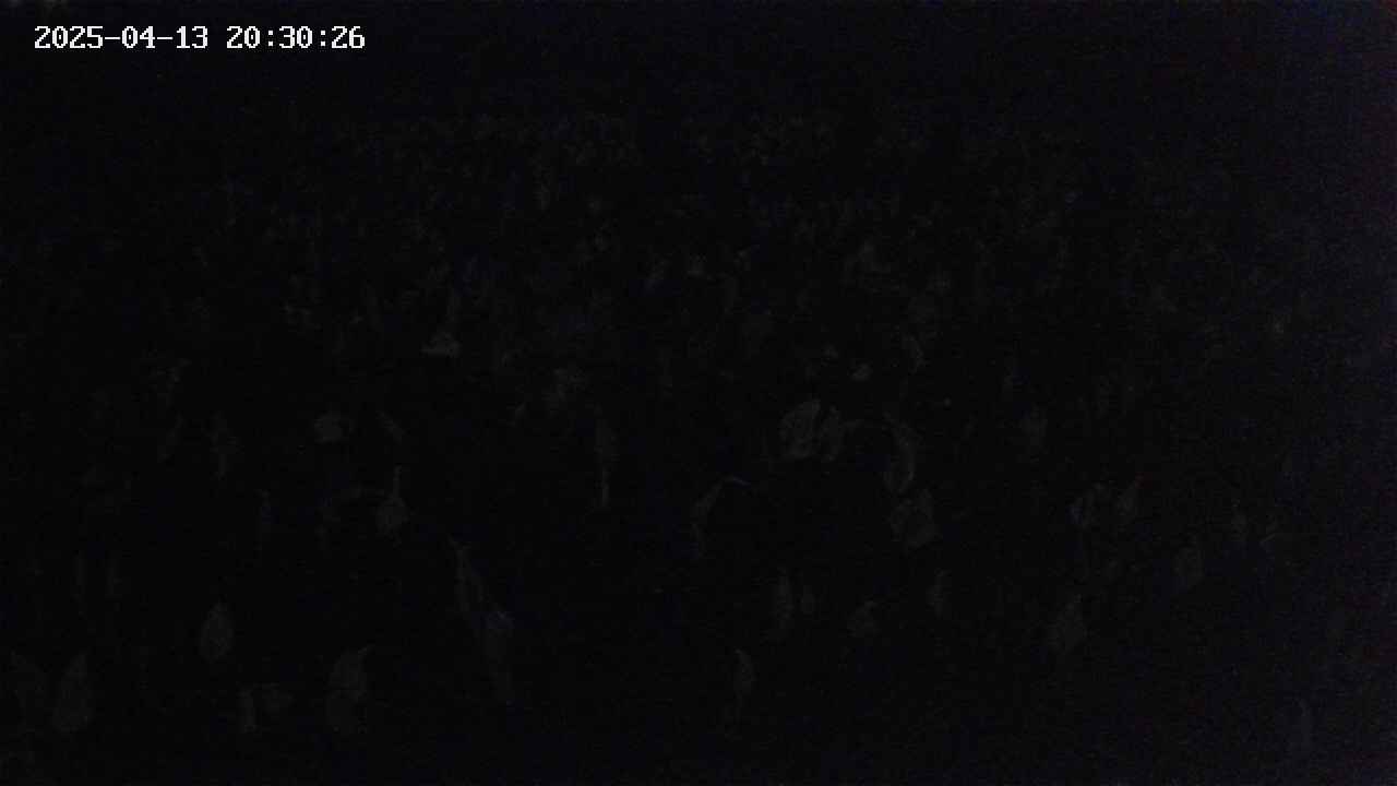 mizubasho2-20250413203027.jpg