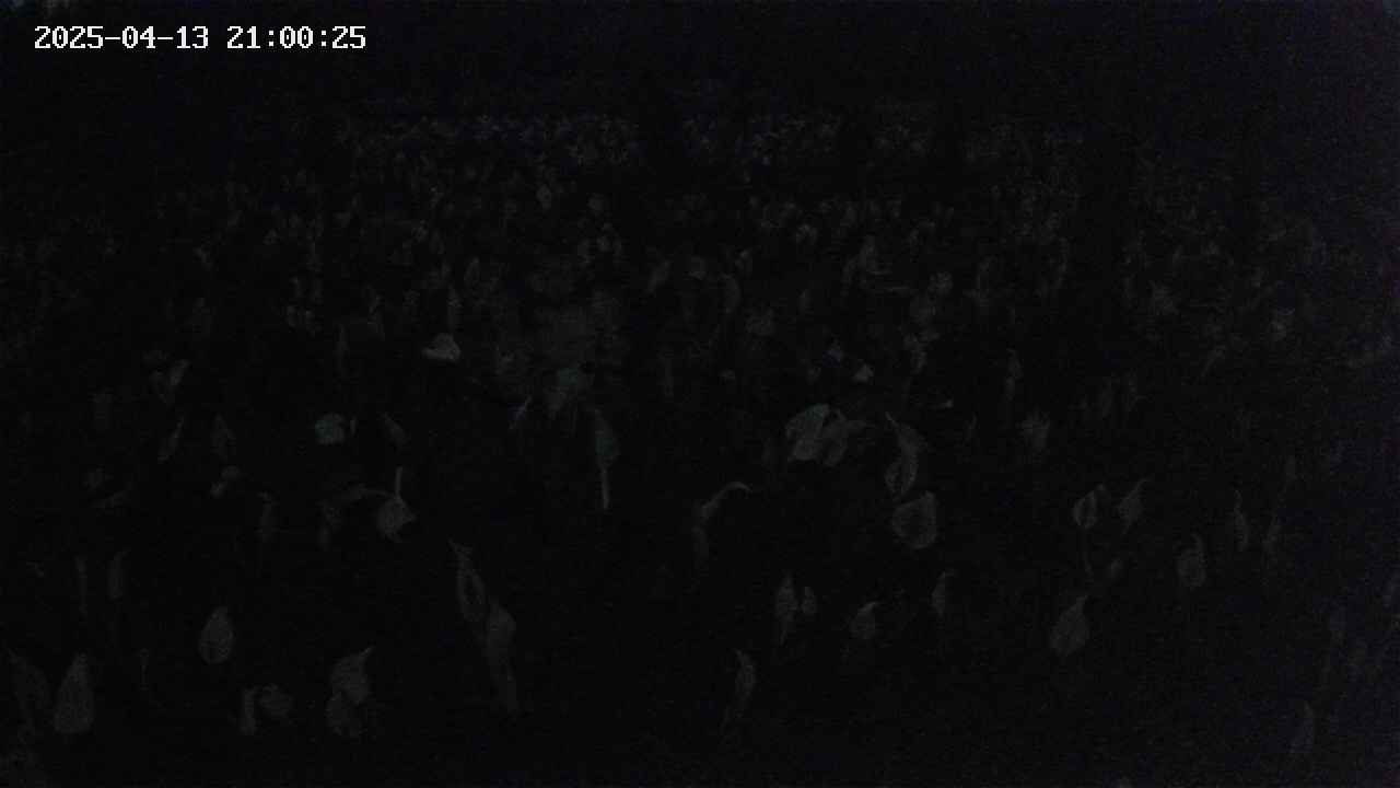 mizubasho2-20250413210026.jpg