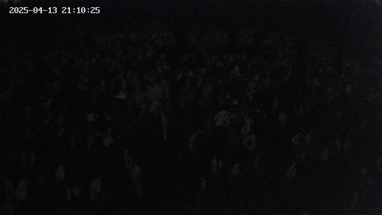 mizubasho2-20250413211026.jpg