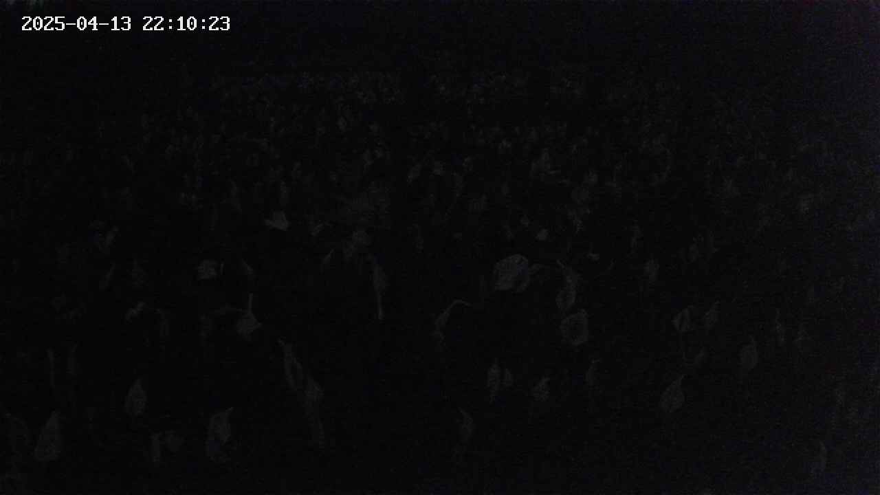mizubasho2-20250413221024.jpg