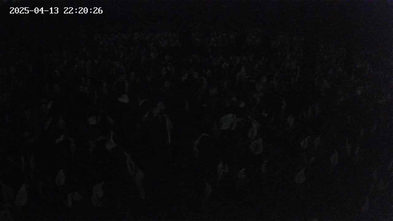 mizubasho2-20250413222027.jpg