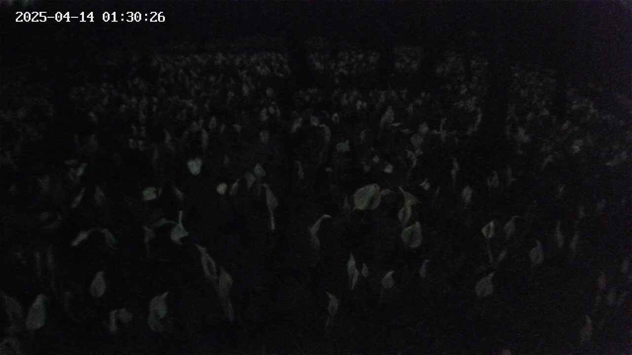 mizubasho2-20250414013027.jpg