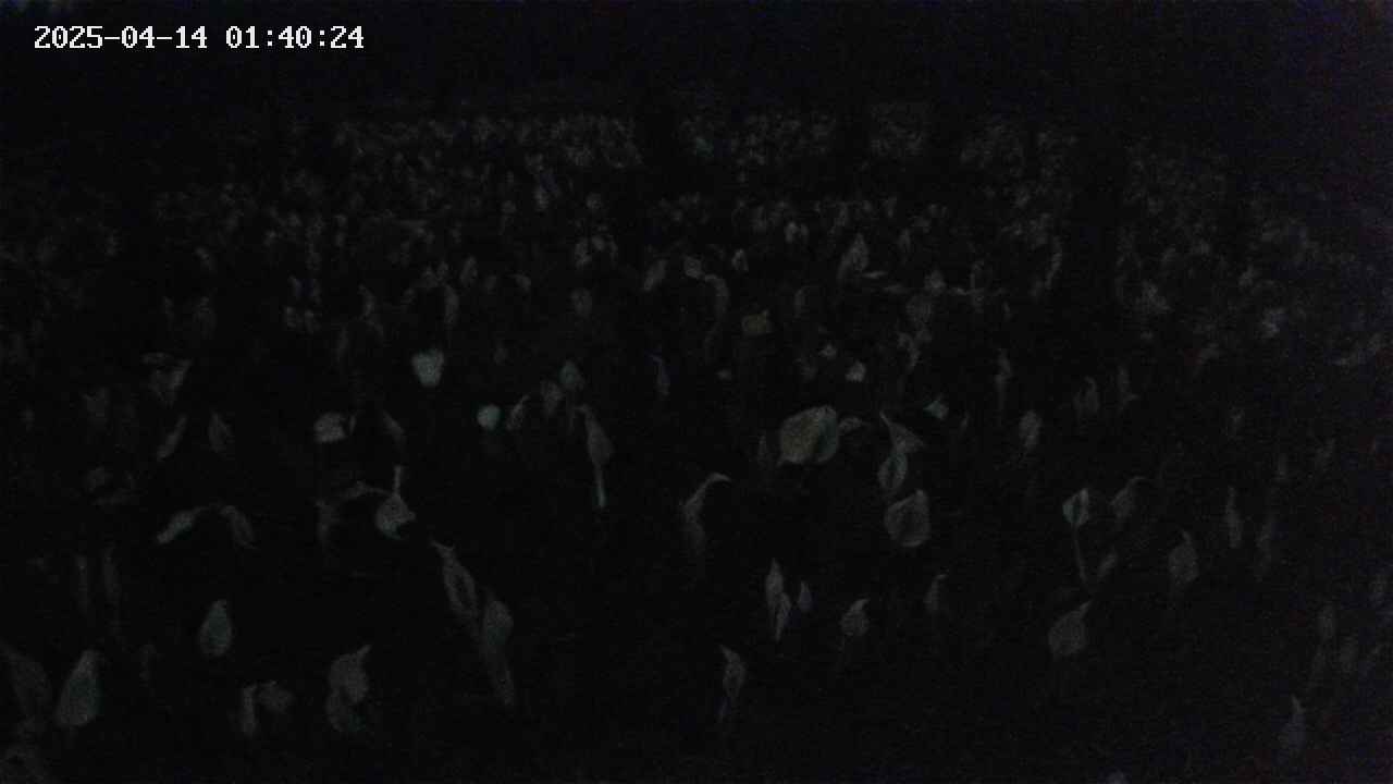 mizubasho2-20250414014025.jpg