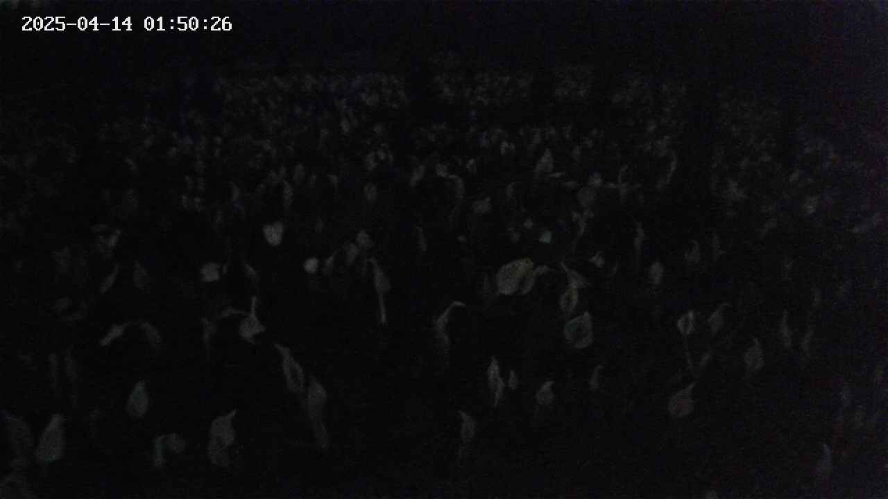 mizubasho2-20250414015027.jpg