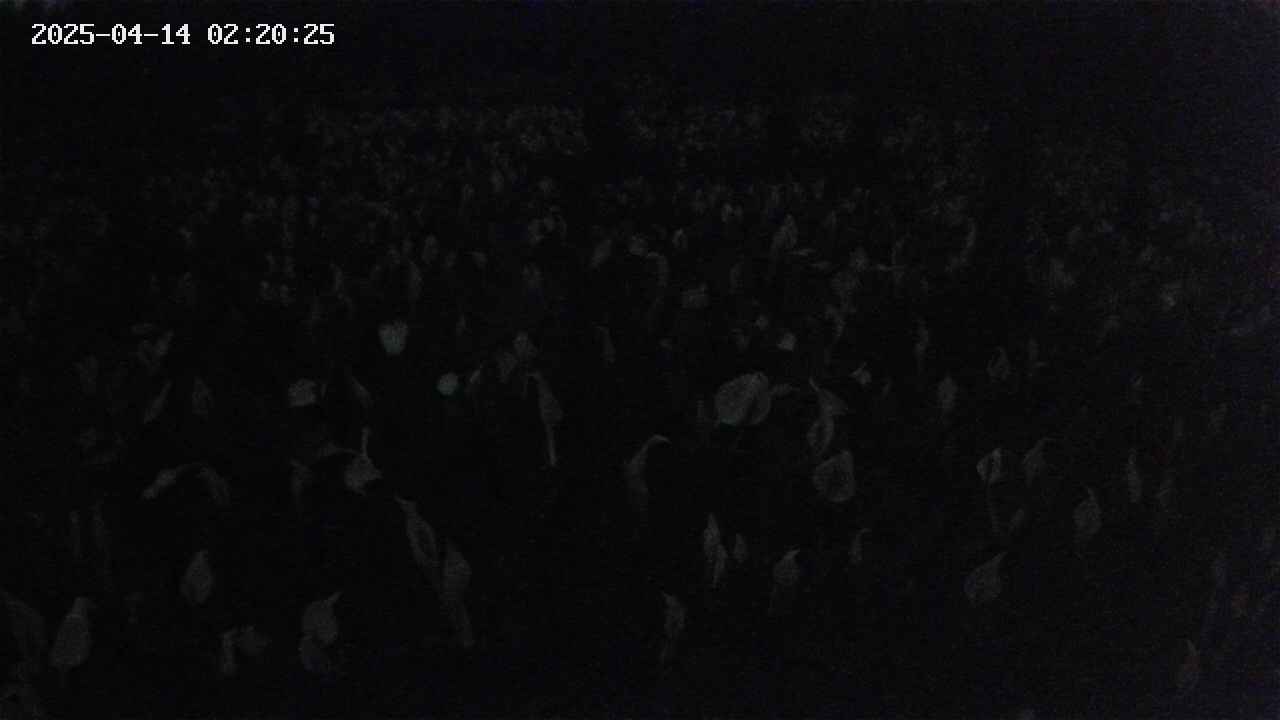 mizubasho2-20250414022026.jpg