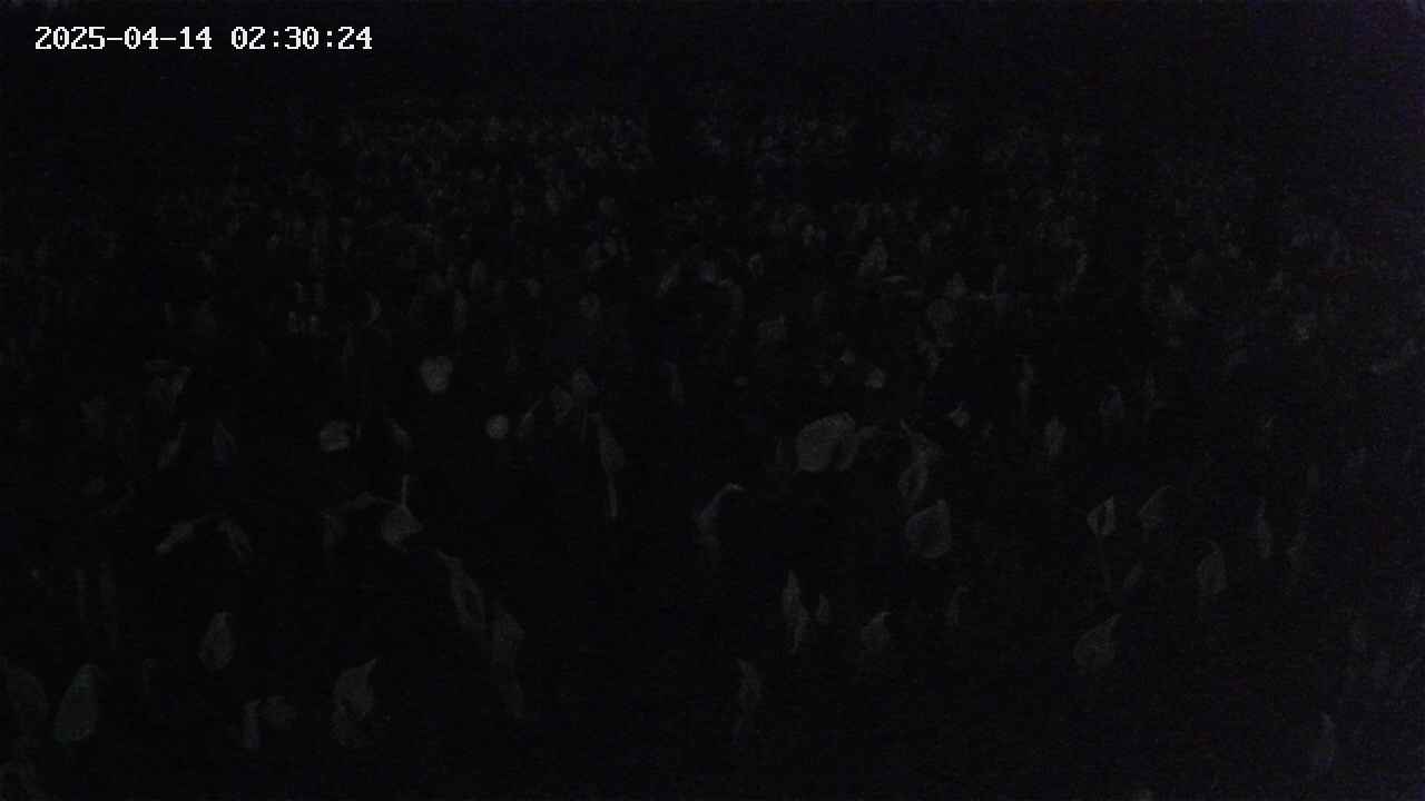 mizubasho2-20250414023026.jpg