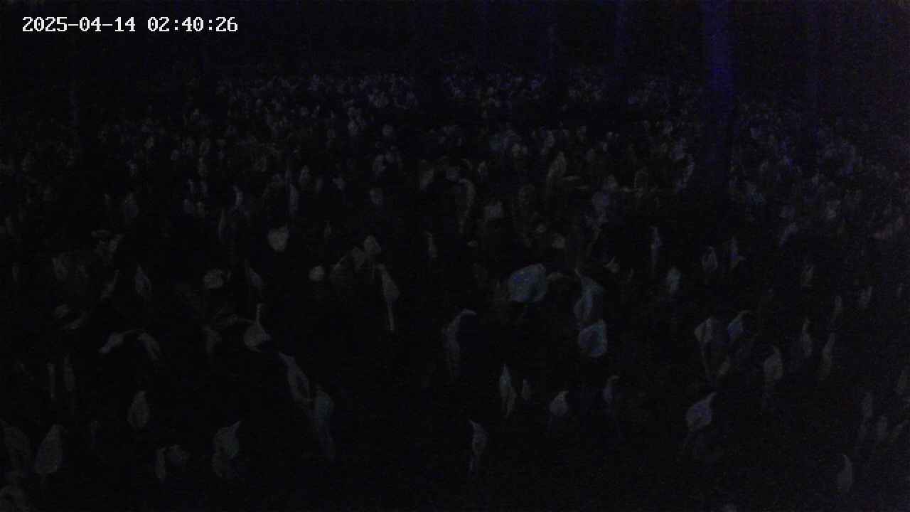 mizubasho2-20250414024027.jpg