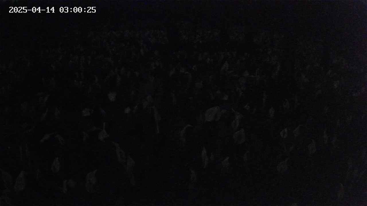 mizubasho2-20250414030026.jpg