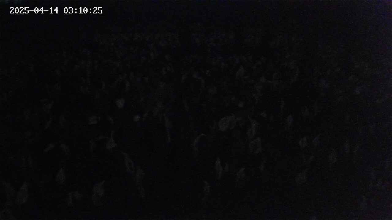 mizubasho2-20250414031026.jpg