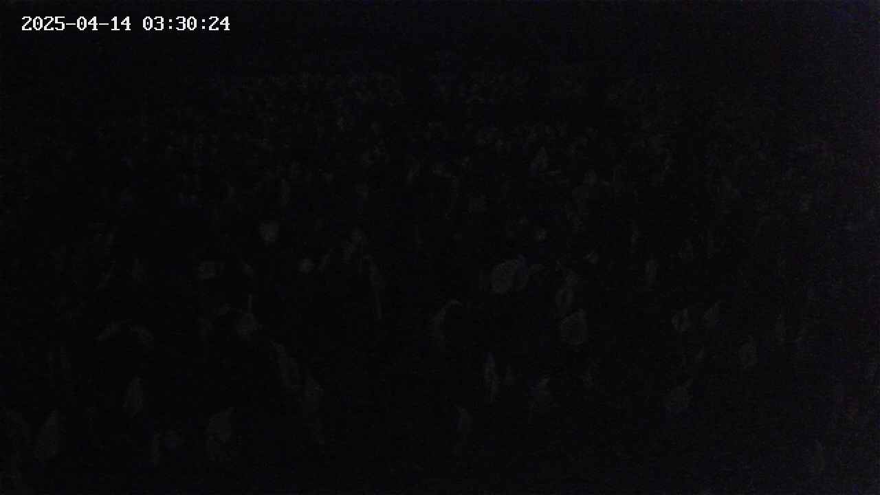 mizubasho2-20250414033025.jpg