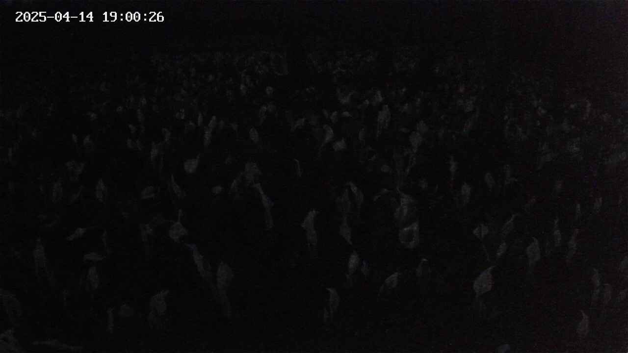 mizubasho2-20250414190027.jpg