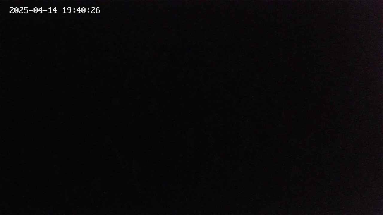 mizubasho2-20250414194027.jpg