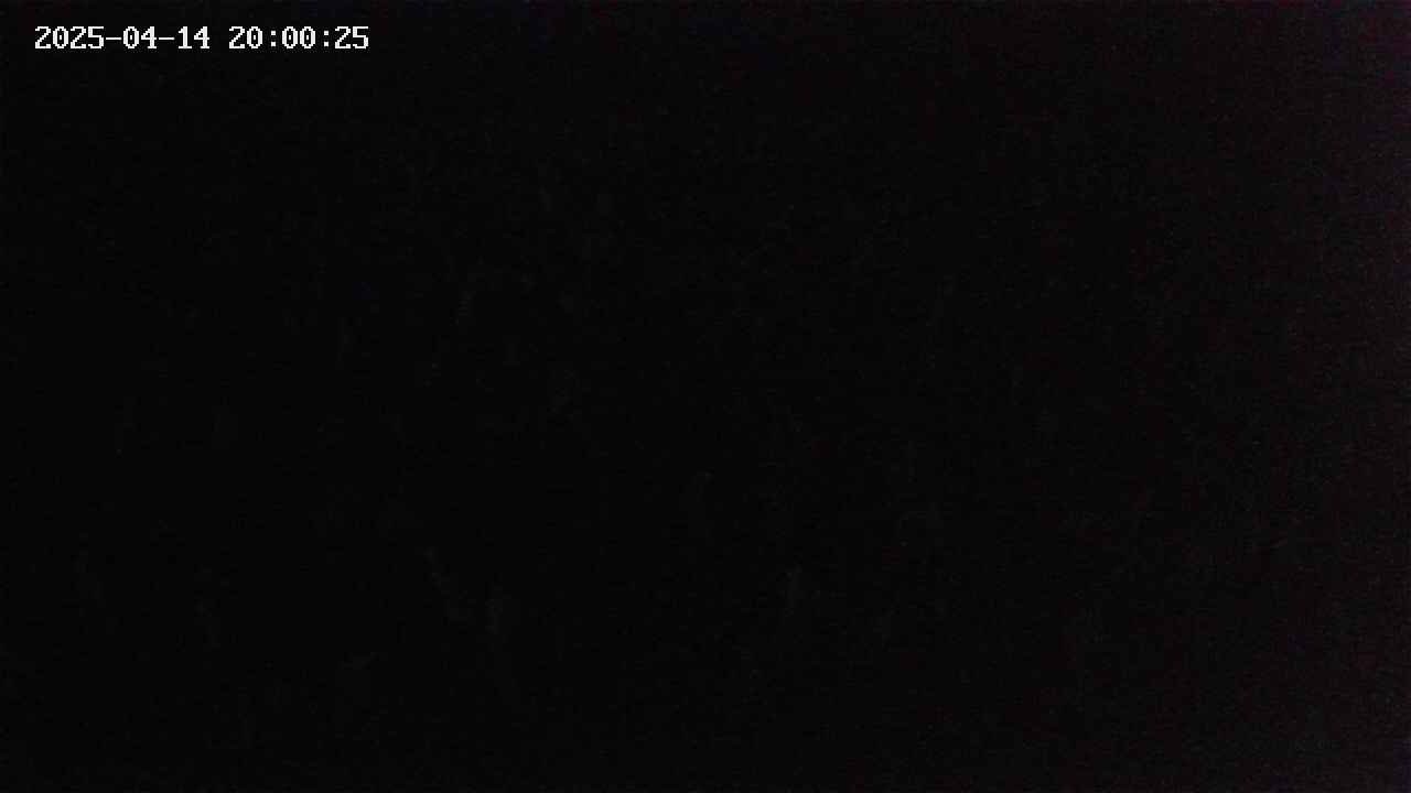 mizubasho2-20250414200026.jpg