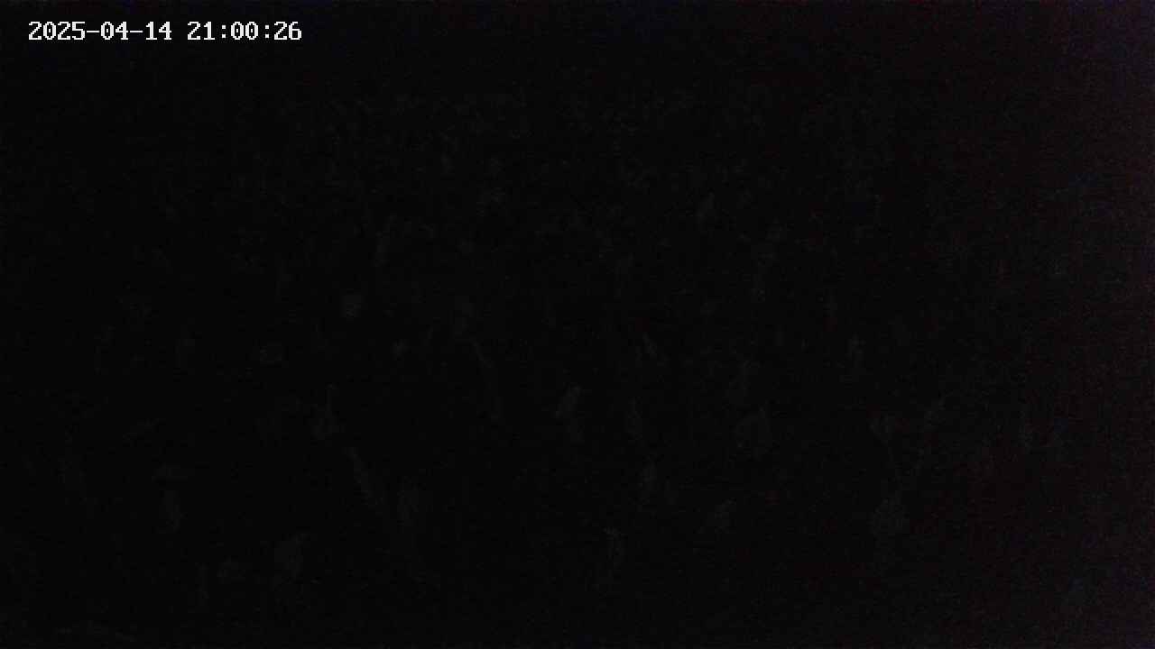 mizubasho2-20250414210027.jpg