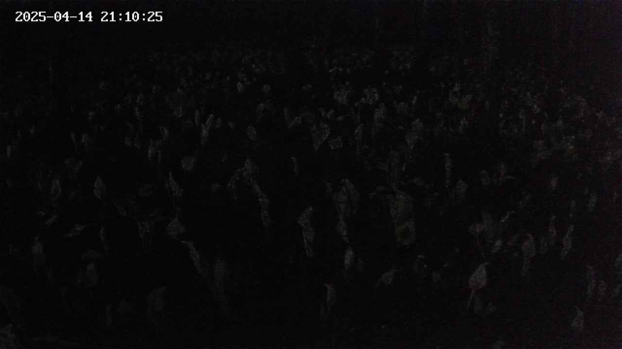 mizubasho2-20250414211026.jpg