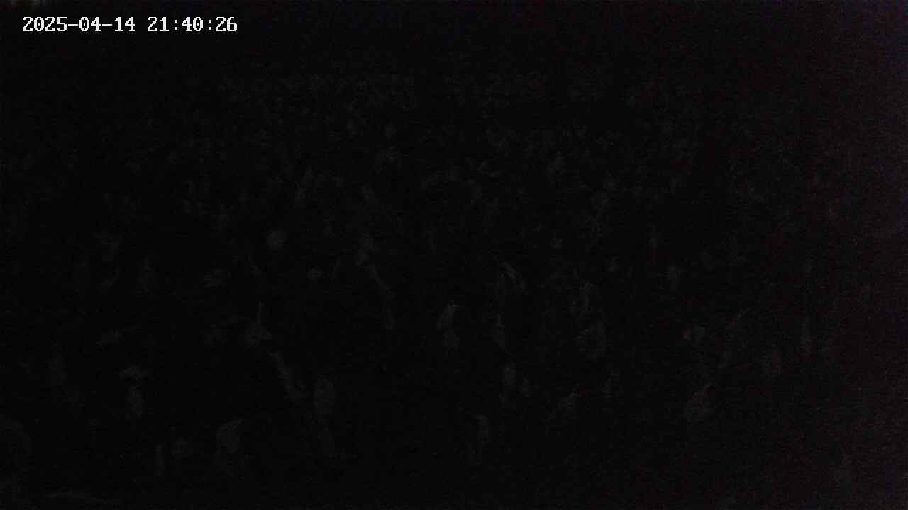 mizubasho2-20250414214027.jpg