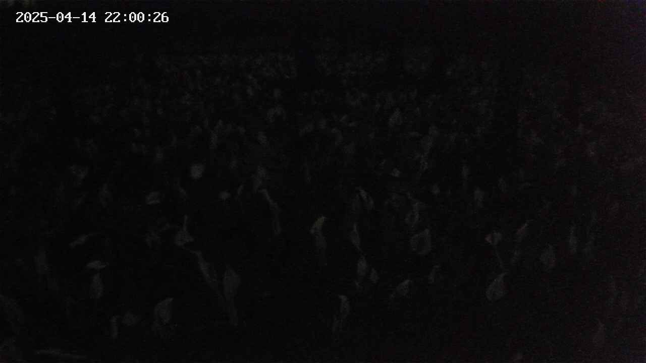mizubasho2-20250414220027.jpg