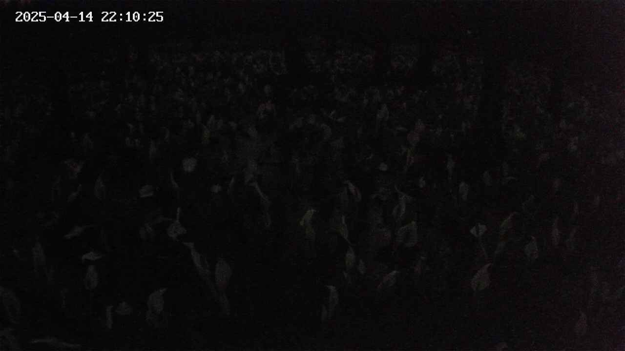 mizubasho2-20250414221026.jpg