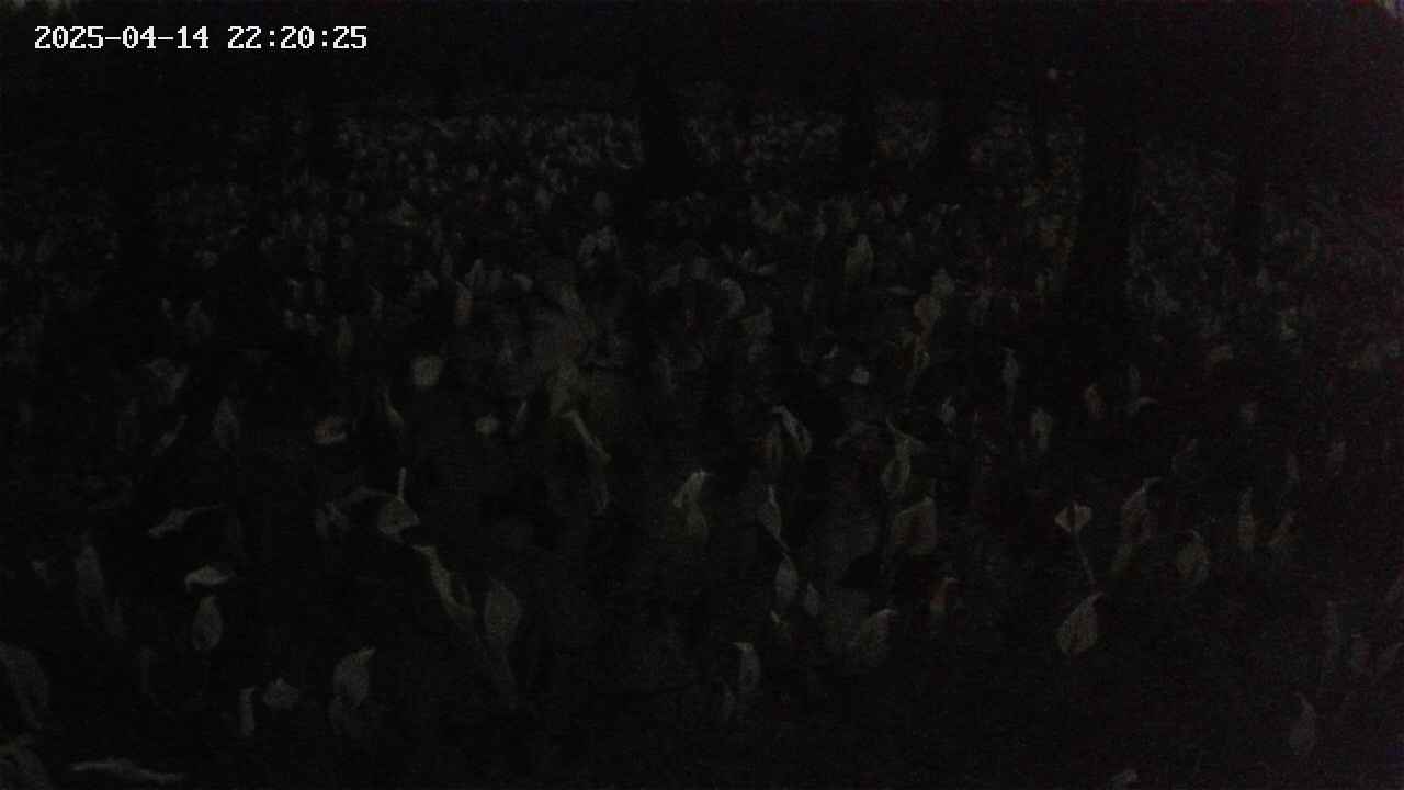 mizubasho2-20250414222026.jpg