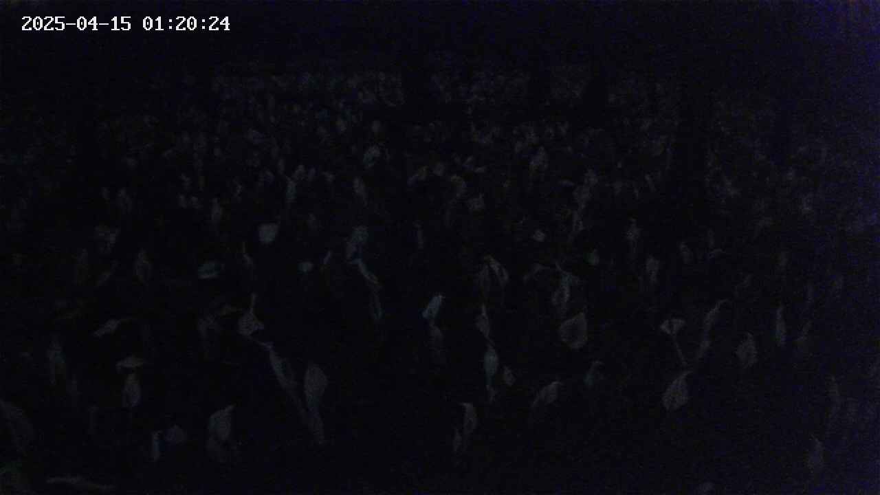 mizubasho2-20250415012025.jpg