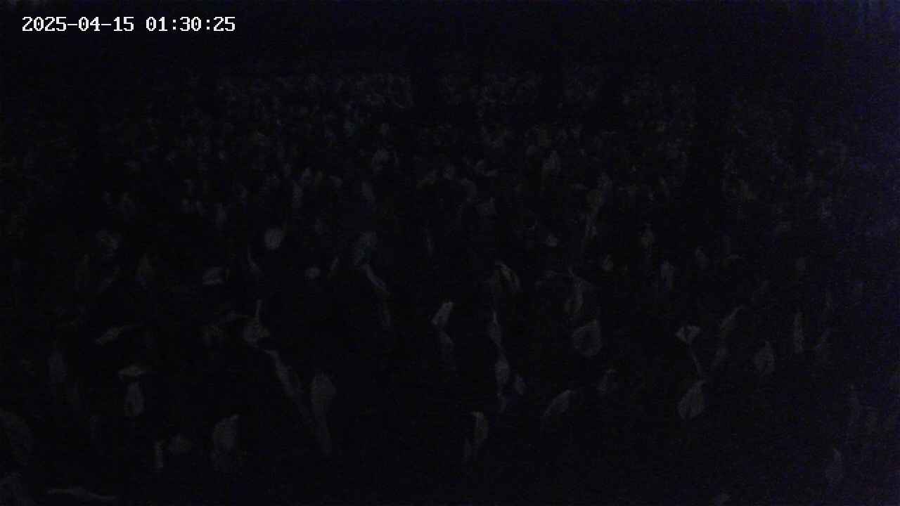 mizubasho2-20250415013026.jpg