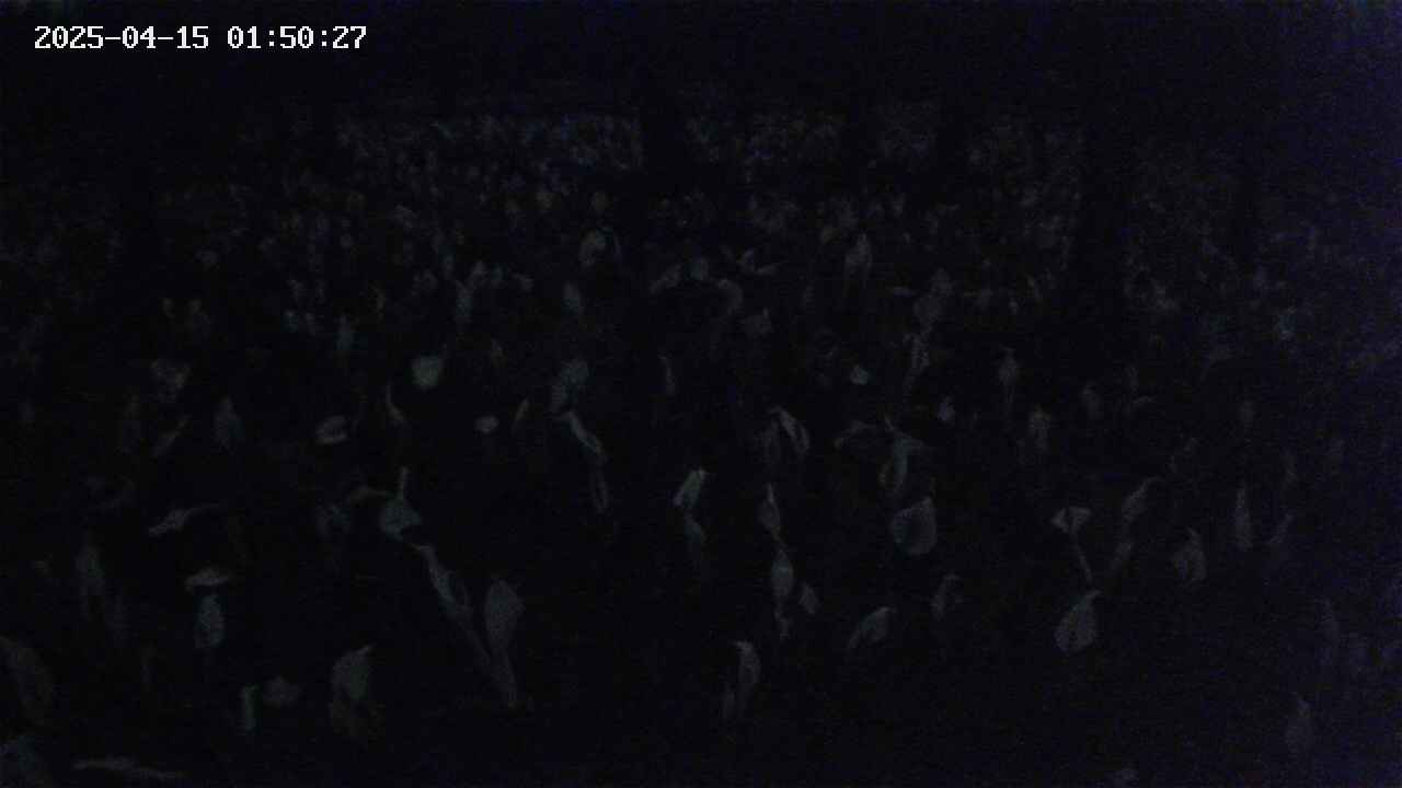 mizubasho2-20250415015028.jpg