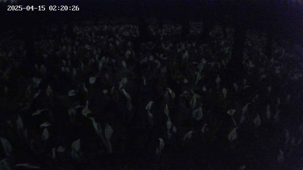 mizubasho2-20250415022027.jpg