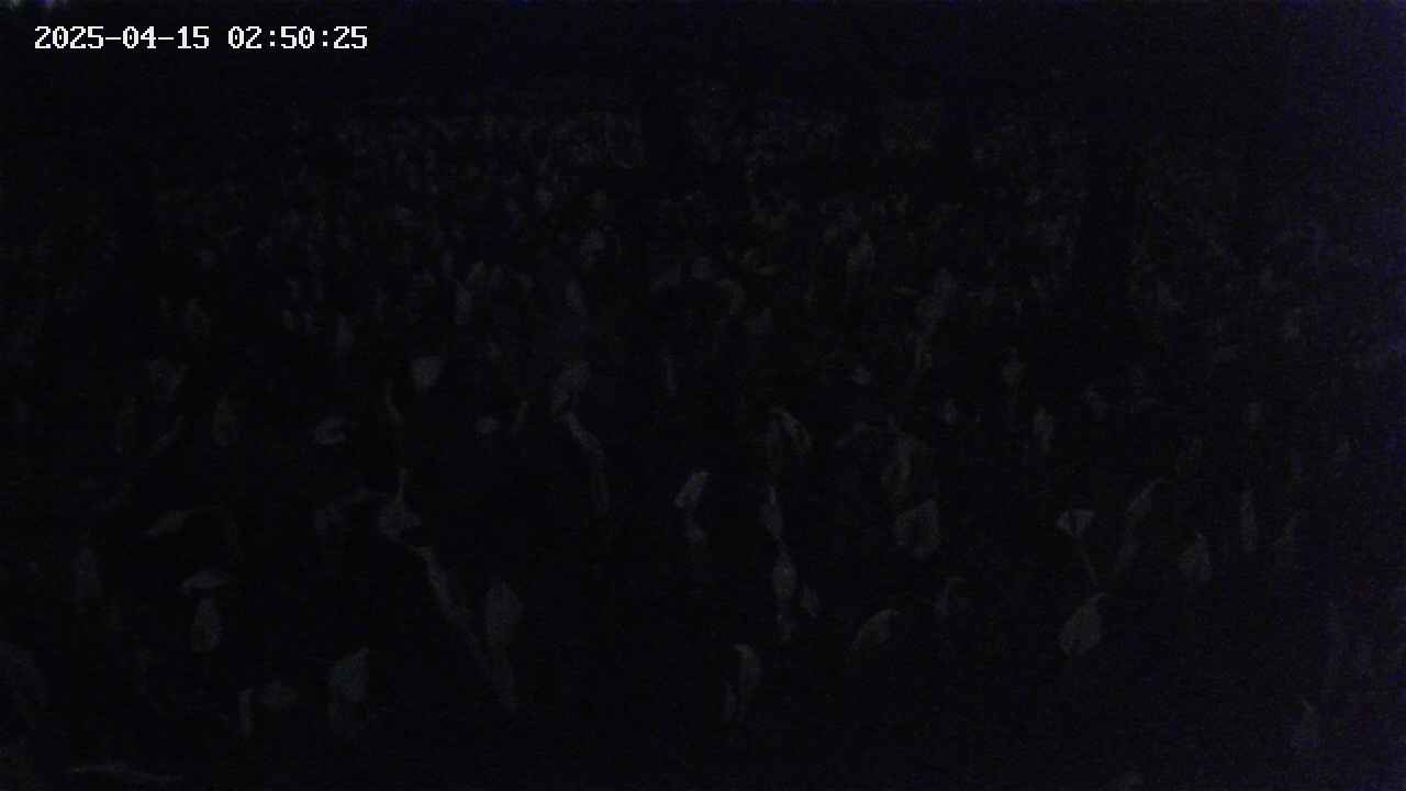 mizubasho2-20250415025026.jpg