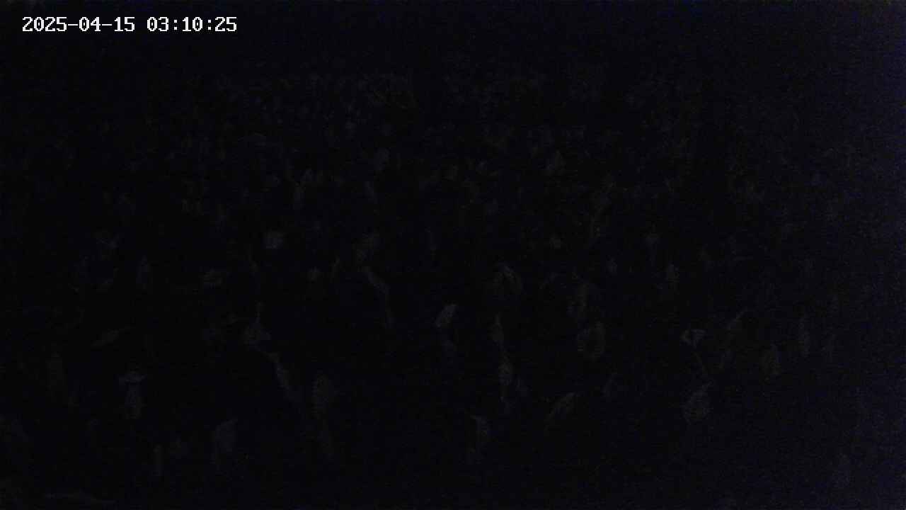 mizubasho2-20250415031026.jpg