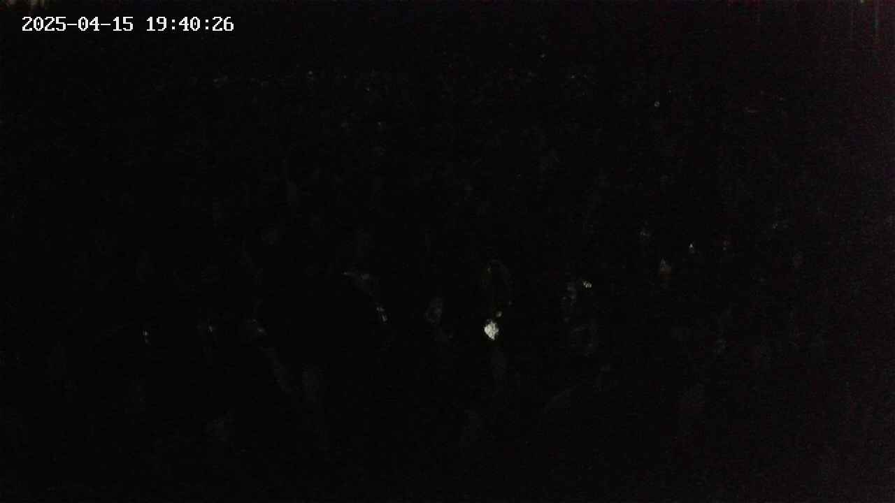 mizubasho2-20250415194027.jpg