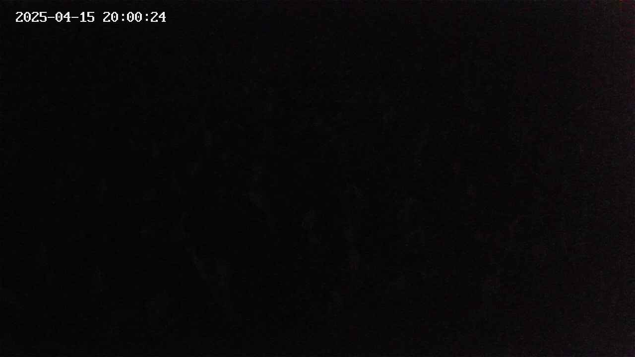 mizubasho2-20250415200024.jpg