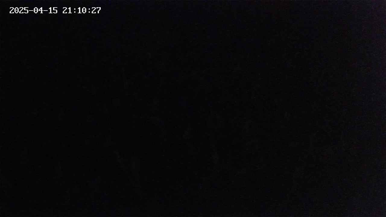 mizubasho2-20250415211027.jpg