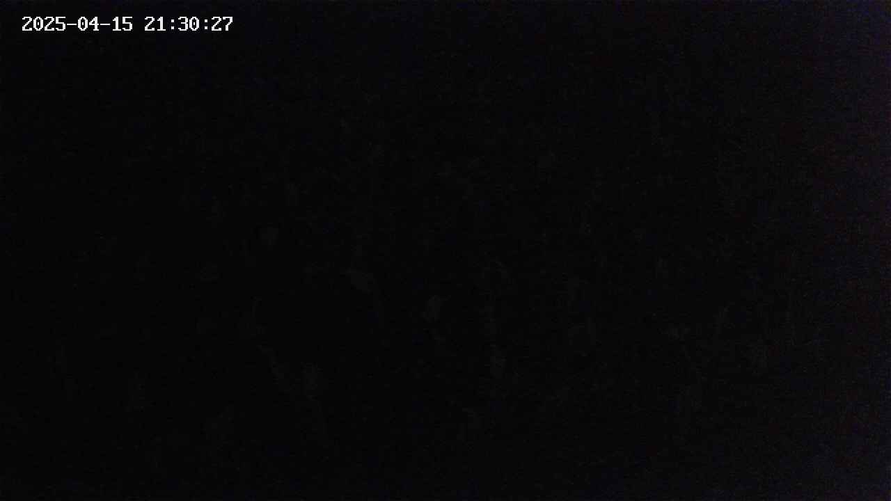 mizubasho2-20250415213028.jpg