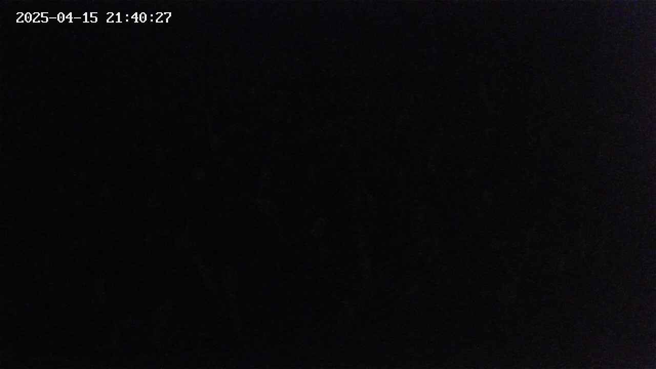 mizubasho2-20250415214027.jpg