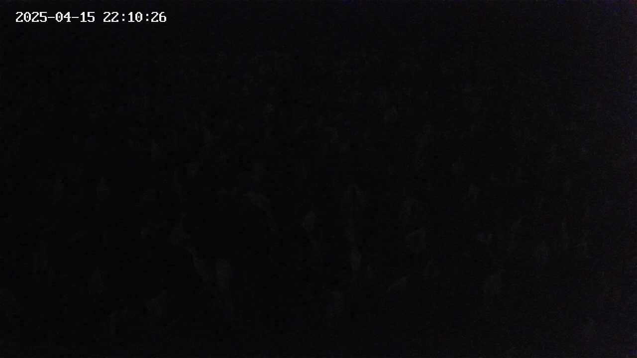 mizubasho2-20250415221027.jpg