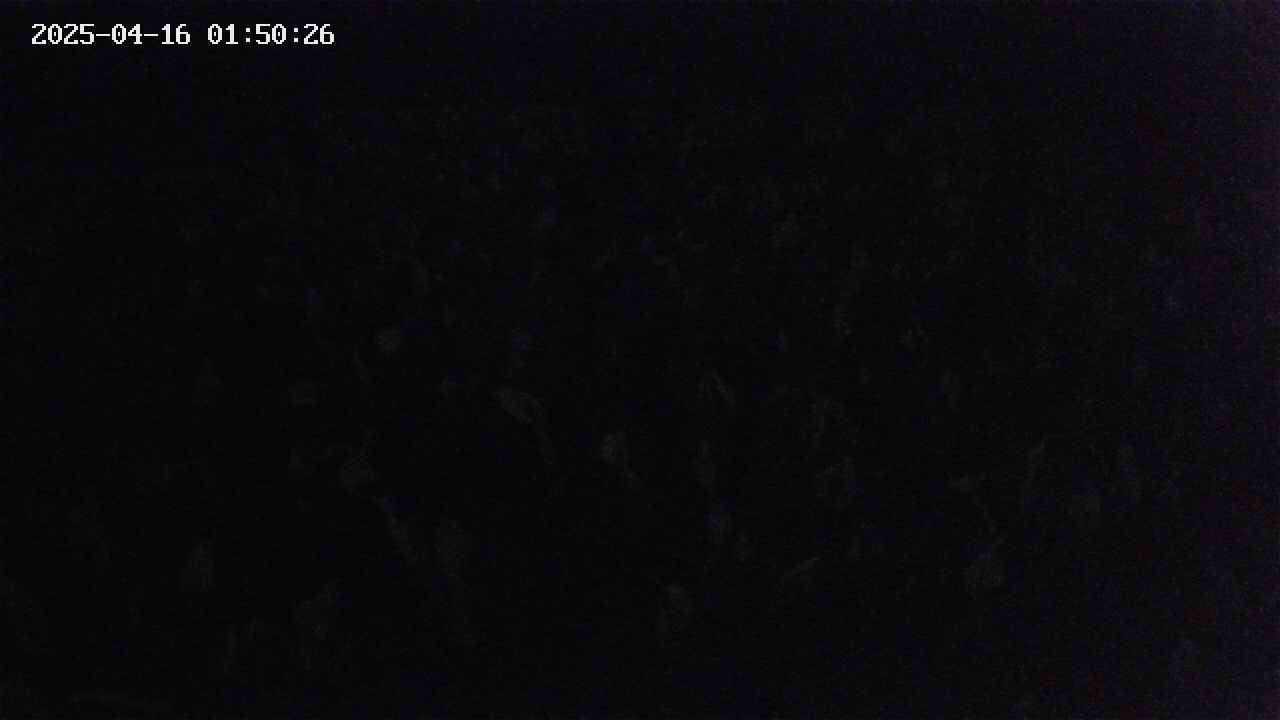 mizubasho2-20250416015027.jpg