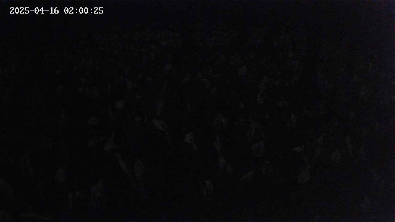 mizubasho2-20250416020025.jpg