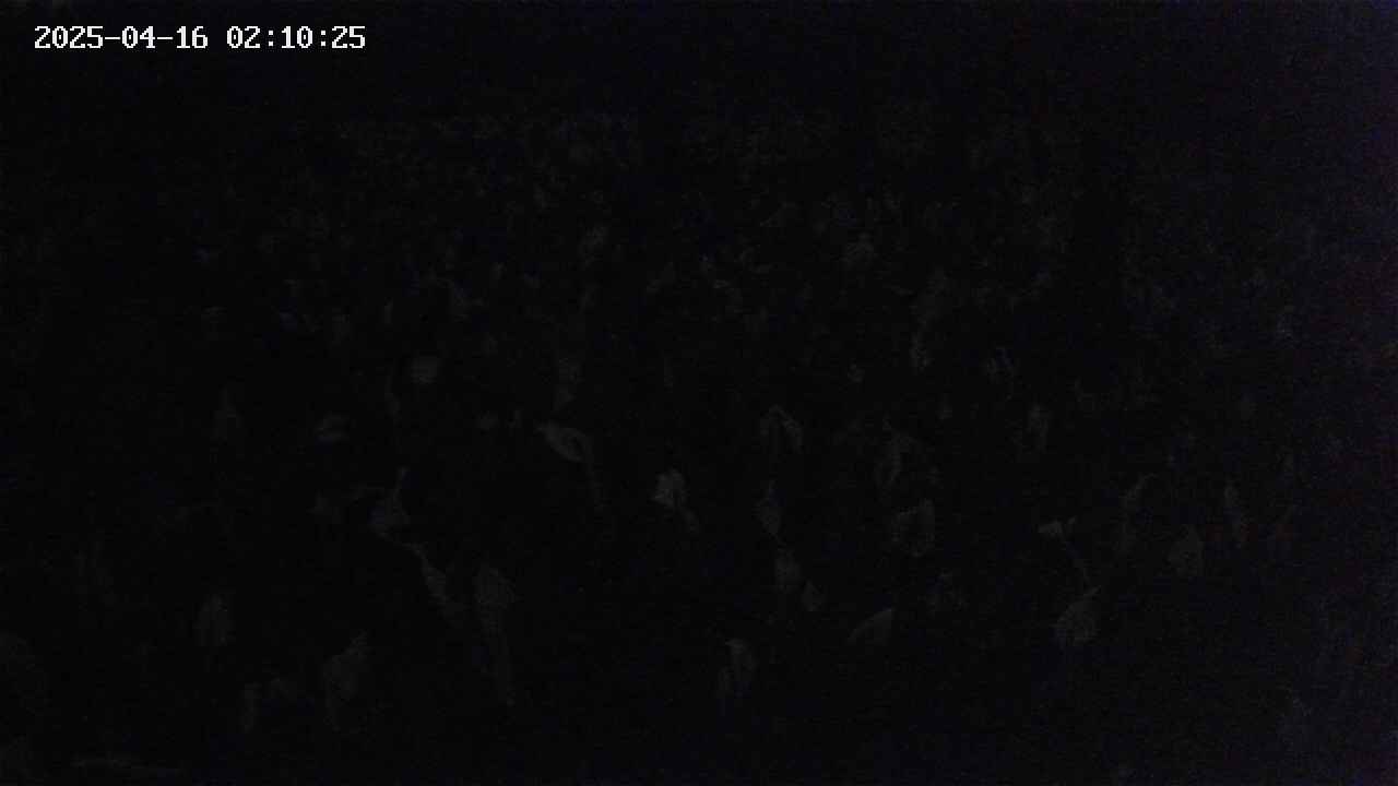 mizubasho2-20250416021025.jpg