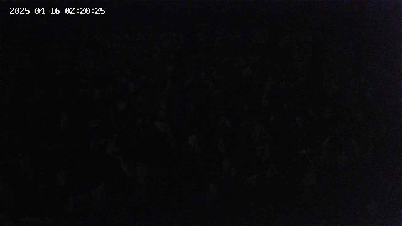 mizubasho2-20250416022025.jpg