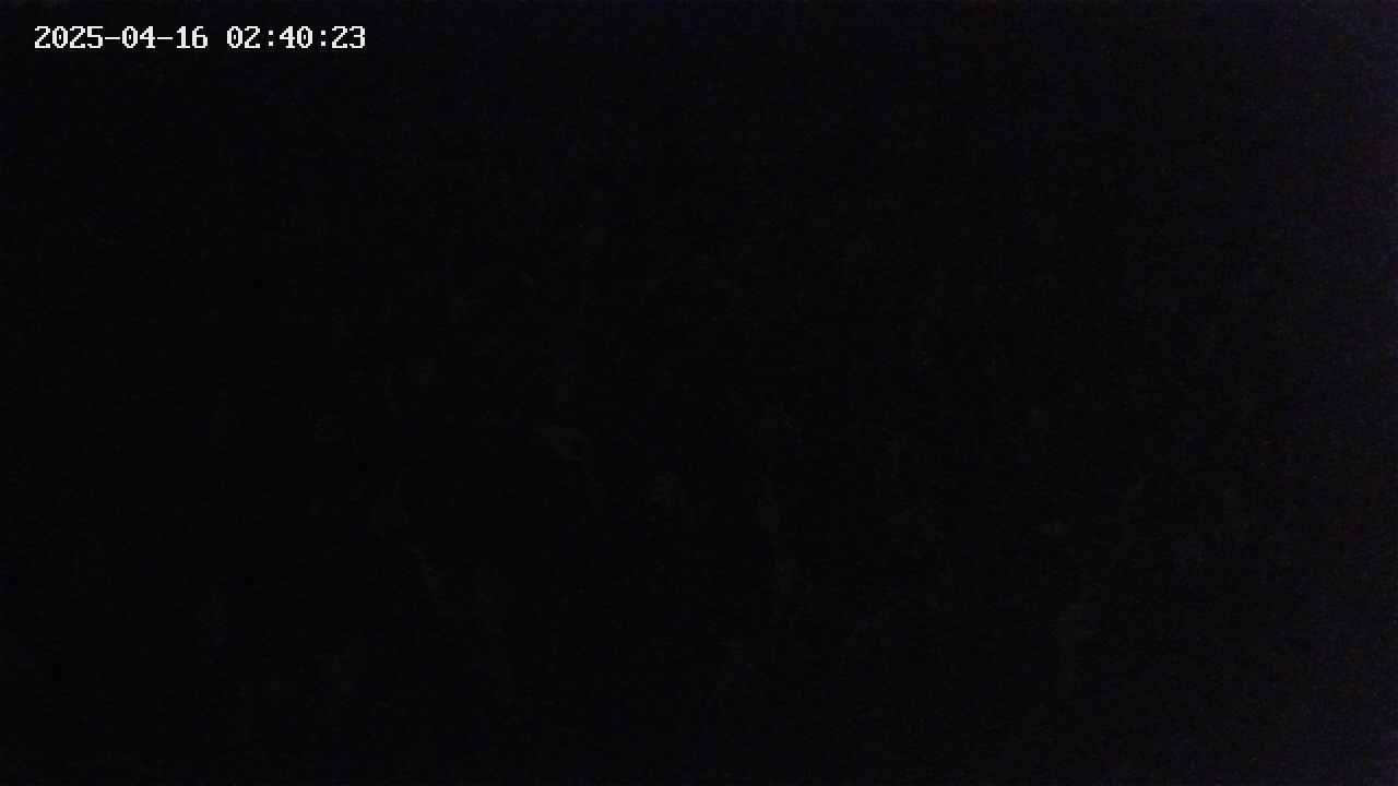 mizubasho2-20250416024024.jpg