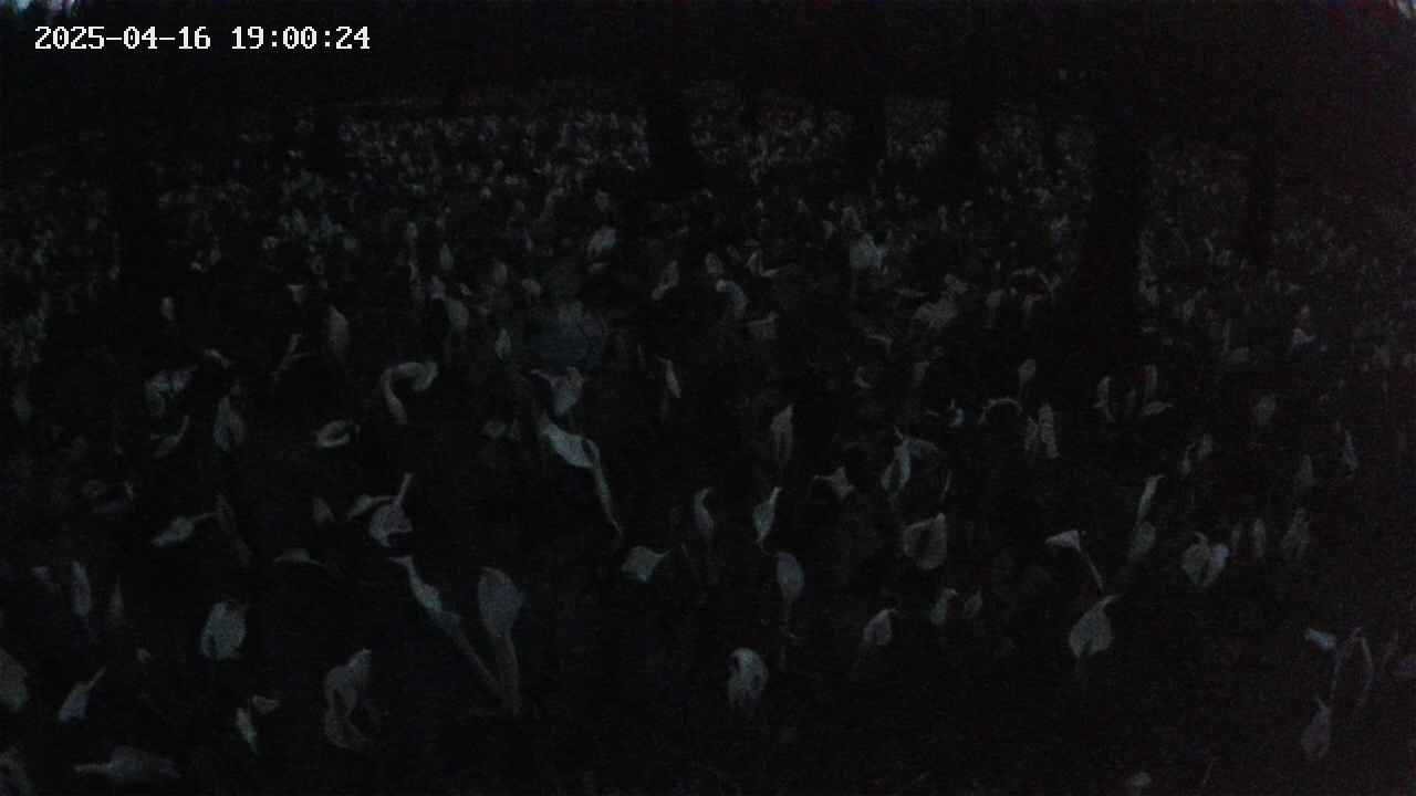 mizubasho2-20250416190025.jpg